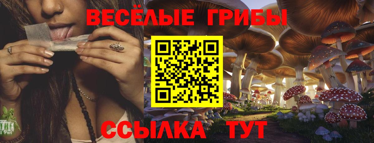 Псилоцибиновые грибы мицелий  Вход с VPN  Галлюциногенные грибы MAGIC MUSHROOMS  Вязьма 
